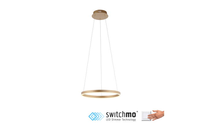 LED-Pendelleuchte Ritus, messing matt, 39,3 cm-02
