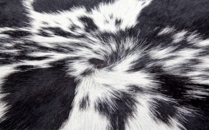 Kuhfellteppich Glam 210 in schwarz-weiß, ca. 2 qm-03