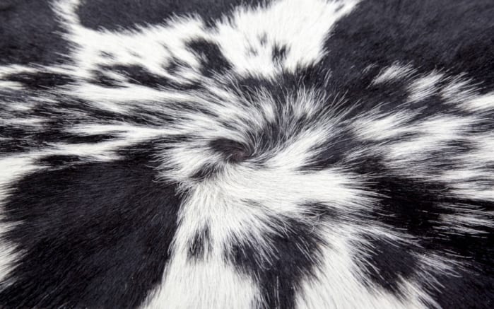 Kuhfellteppich Glam 210 in schwarz-weiß, ca. 1,35 qm-03