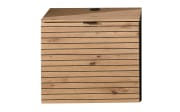 TV-Unterteil Ina, Artisan Eiche Nachbildung/schilfgrün