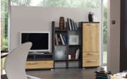 Anbauwand Kosi Plus, Asteiche-Nachbildung/graphit