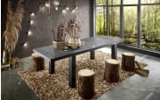 Esstisch Big System Deluxe in flamed wood black