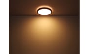 LED-Deckenleuchte Sammi CCT, schwarz/messing, 42 cm