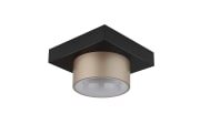 LED-Deckenleuchte Raymond, schwarz/goldfarbig