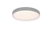 LED-Deckenleuchte Zeta, grau, 48,5 cm