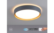 LED-Deckenleuchte Emilia, grau, 39,6 cm