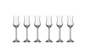 Grappaglas Daily, 6-teilig, 100 ml 