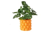 Übertopf Orange, orange/grün, 15 cm