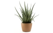Kunstpflanze Aloe Vera, grün, 41 cm