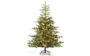Tannenbaum Grandis, grün, inkl.Micro-LED-Beleuchtung, 180 cm