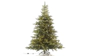 Tannenbaum Grandis, grün, inkl.Micro-LED-Beleuchtung, 210 cm