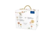 Kindergeschirr-Set Like a Lion, 3-teilg