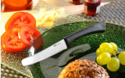 Allzweckmesser Senso, 22 cm