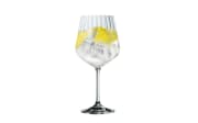 Gin Tonic Set, 4-teilig