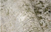 Teppich Glorious Cove, grau/grün, 160 x 230 cm