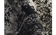 Teppich Glorious Vita,  schwarz/grau, 160 x 230 cm