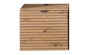 TV-Unterteil Ina, Artisan Eiche Nachbildung/schilfgrün