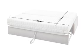 Schlafsofa Twin, grau, 170 x 200 cm