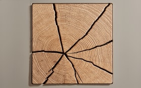 Schlafzimmer Cena, Wildeiche Furnier/Lack grau, 180 x 200 cm,  Schrank 269 x 229 cm