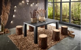 Esstisch Big System Deluxe in flamed wood black
