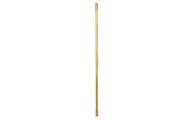 Rahmenspiegel Elsa, goldfarbig, 50 x 150 cm