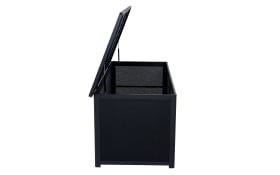 Aufbewahrungsbox Pallida, anthrazit, 135 cm