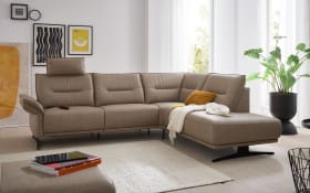 Wohnlandschaft MR 310, taupe