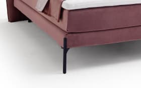 Boxspringbett Vita, altrosa, 180 x 200 cm