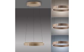 LED-Pendelleuchte Pure E-Clipse, brozne, inkl. CCT und Fernbedienung