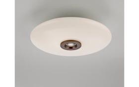 LED-Deckenleuchte Pure-Vitrum, dunkelbraun, inkl. Dimmfunktion