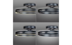 LED-Deckenleuchte Pure-Loop, anthrazit, inkl. CCT und Memory Funktion