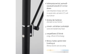 LED-Standleuchte Mondo Rimo, anthrazit, inkl. CCT und Memoryfunktion