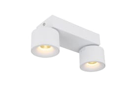 Deckenleuchte Rae, weiß, 2-flammig