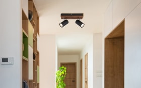 Deckenleuchte Kayden, dunkelbraun/schwarz, 2-flammig