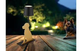 Akku-Tischleuchte Furri, schwarz/goldfarbig