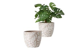 Übertopfset Tysko, beige/weiß, 2-teilig