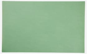 Tischset vegan Leder, basil, 46x33cm
