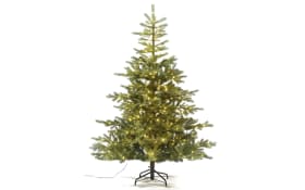 Tannenbaum Grandis, grün, inkl.Micro-LED-Beleuchtung, 180 cm