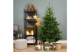 Tannenbaum Alba, grün, 150 cm
