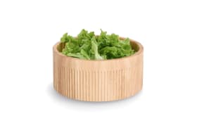 Schale Gummibaum, natur, 27 cm