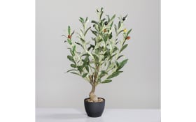 Olivenbaum, grün, 35 x 60 cm