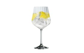 Gin Tonic Set, 4-teilig