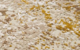 Teppich Glorious Cove, beige/gold, 200 x 290 cm