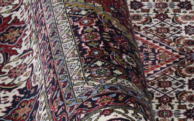 Teppich Seidenwind Bidjar, rot/creme, 200 x 290 cm