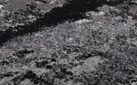 Teppich Starlight Echo, grau/schwarz, 200 x 290 cm