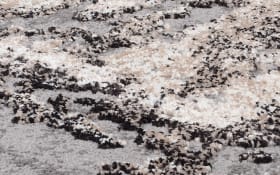 Teppich Starlight Echo, hellgrau, 160 x 230 cm
