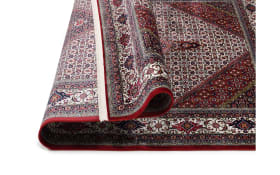Teppich Seidenwind Bidjar, creme/rot, 160 x 230 cm