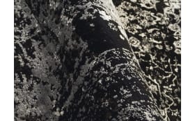 Teppich Glorious Vita,  schwarz/grau, 160 x 230 cm