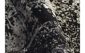 Teppich Glorious Vita,  schwarz/grau, 140 x 200 cm