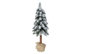 Tannenbaum Kiefer Tora, grün/weiß, 80 cm